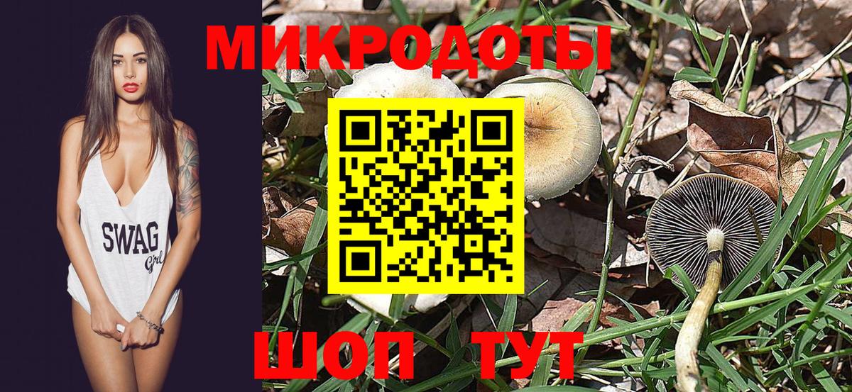 Новодвинск  Псилоцибиновые грибы GOLDEN TEACHER  Вход с VPN 